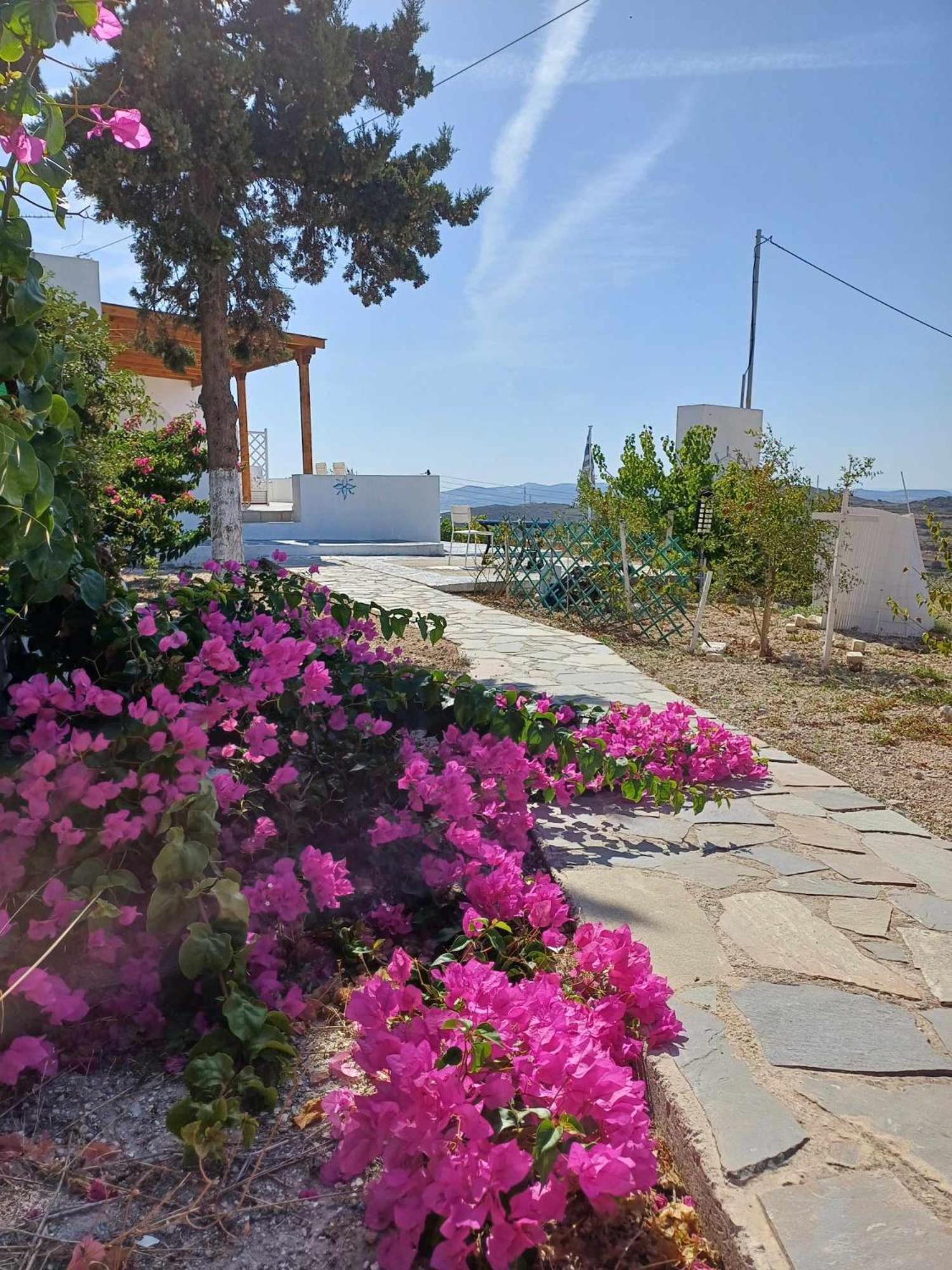Georgia Rooms Milos Plaka  Dış mekan fotoğraf