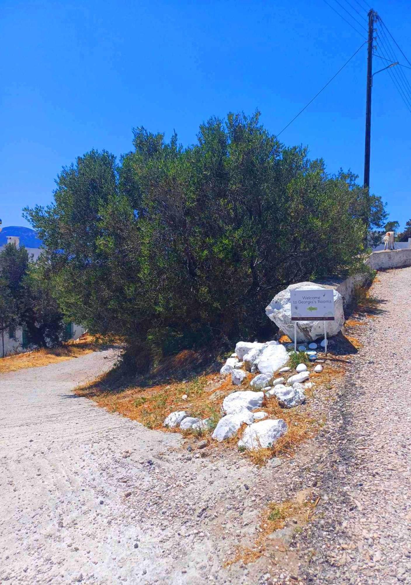 Georgia Rooms Milos Plaka  Dış mekan fotoğraf